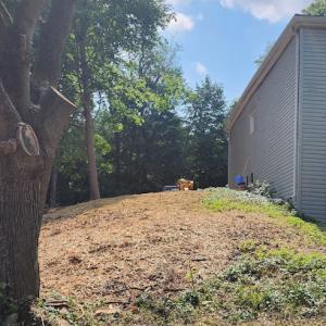 K Ranch Tree Services