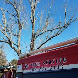 JD Tree Service