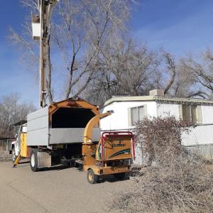 M&S Quality Tree Service