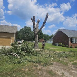Tarhill Tree Service Fayetteville