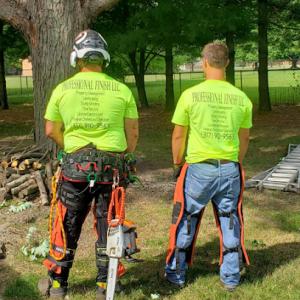 Pro Finish Tree Care