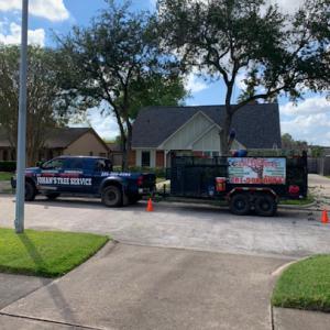 Johan's tree services