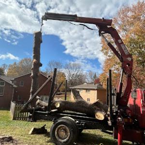 Viewpoint Tree Service