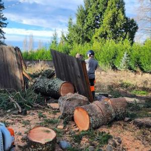 Tru Grit Tree Service