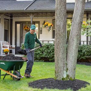 The Davey Tree Expert Company