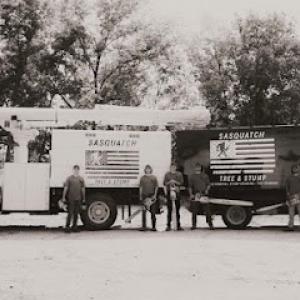 Sasquatch Tree & Stump