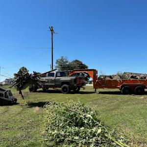 Lykins lawncare & landscaping