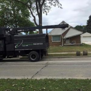 Environmental Tree Service