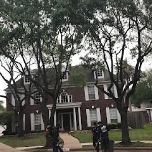 Mora's Tree & Landscaping Services