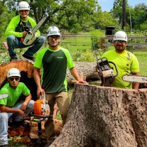 Meadows Tree Service