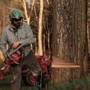 Woodman Custom Sawing