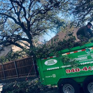 Old Country Tree Service