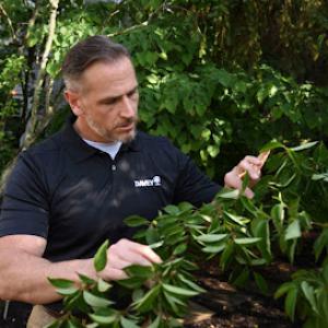 The Davey Tree Expert Company