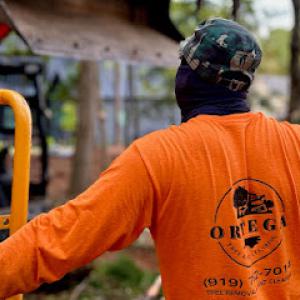 Ortega Tree & Land Clearing