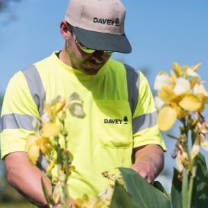 The Davey Tree Expert Company