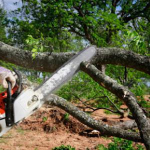 TriCounty Tree Care