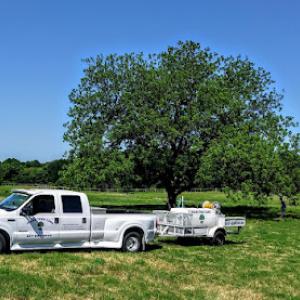 Texas Tree Care
