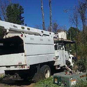 Cincinnati Arbor Services