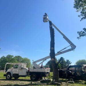 Gilliams Tree Service