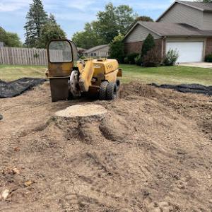 Miller’s Stump Grinding