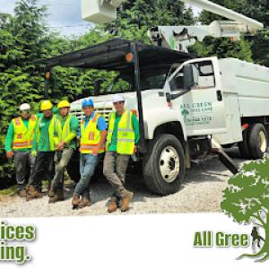 All Green Tree Care Removal & Landscape