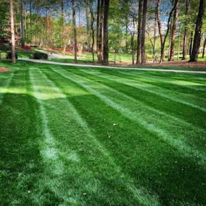 Triad Precision Landscaping