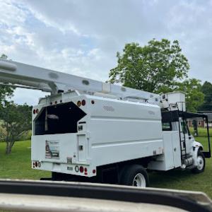 A2Z Solutions Tree Service