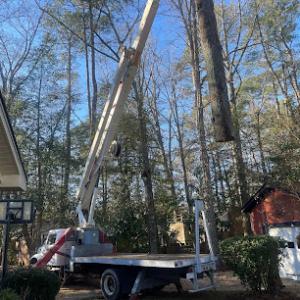 Down East Tree Service II