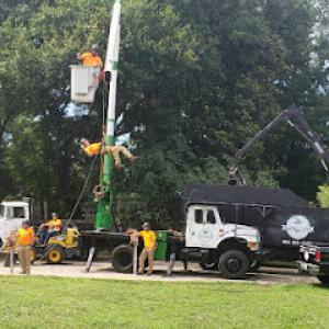 Arbor Master Tree Care