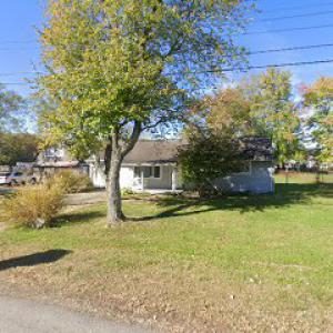 Aaron Back Stump Grinding & Tree Services