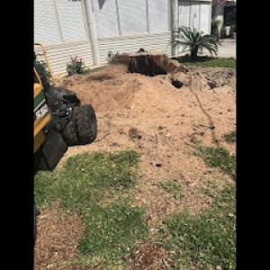 Scott's Stump Grinding