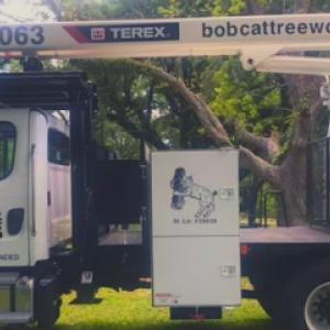 Bobcat Tree Work