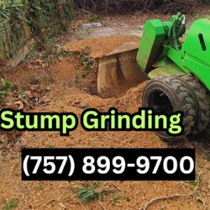 Tree Stump Removal & Excavation