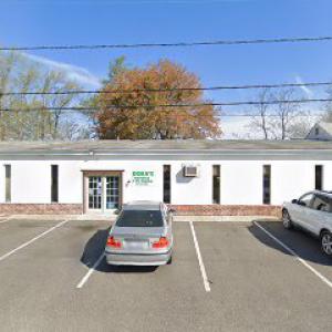 Hampton Tree Experts