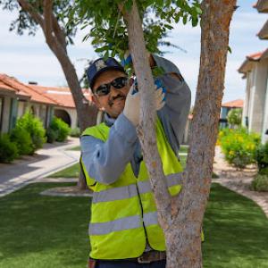 U.S. Lawns - Harlingen TX