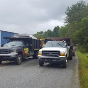 Mountain Tree Professionals