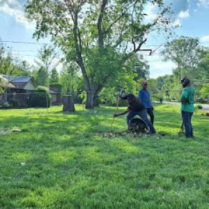 Branch Out Tree Services