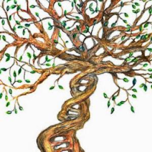 Above the Norm Landscaping