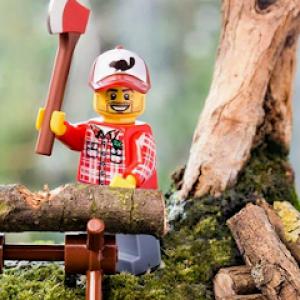 Ames Story Tree & Lawn