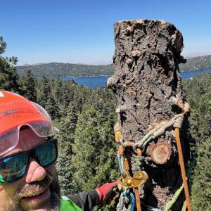 Its Tree Time Services