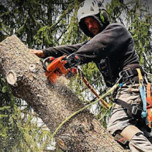 Central Jersey Tree Care