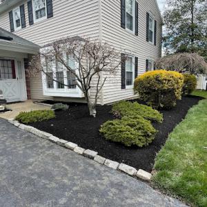 Eco Green Tree Services & Landscaping