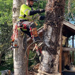 El Arborista Volador