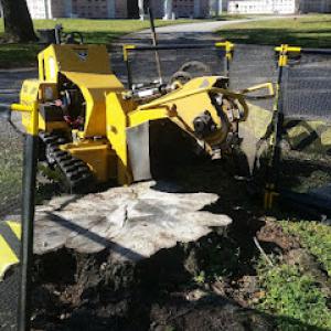 United Stump Grinding