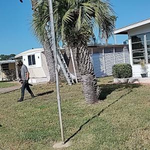 American Tree Service