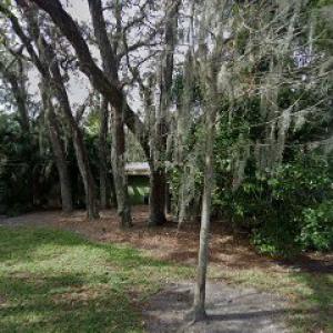 Joe Samnik Expert Tree Consultant