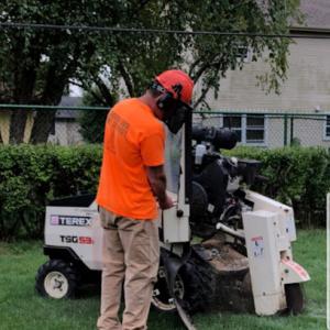 Broken Limb Tree Services