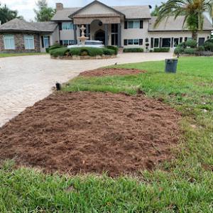 Calderon Stump Removal Services