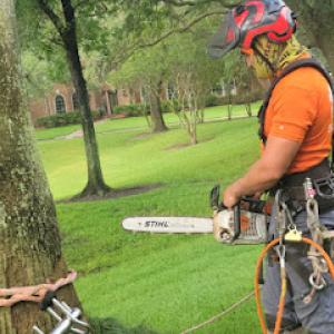 Servin's Tree Care