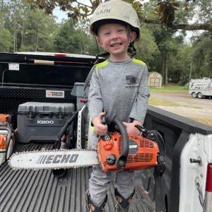 Red Line Tree Company